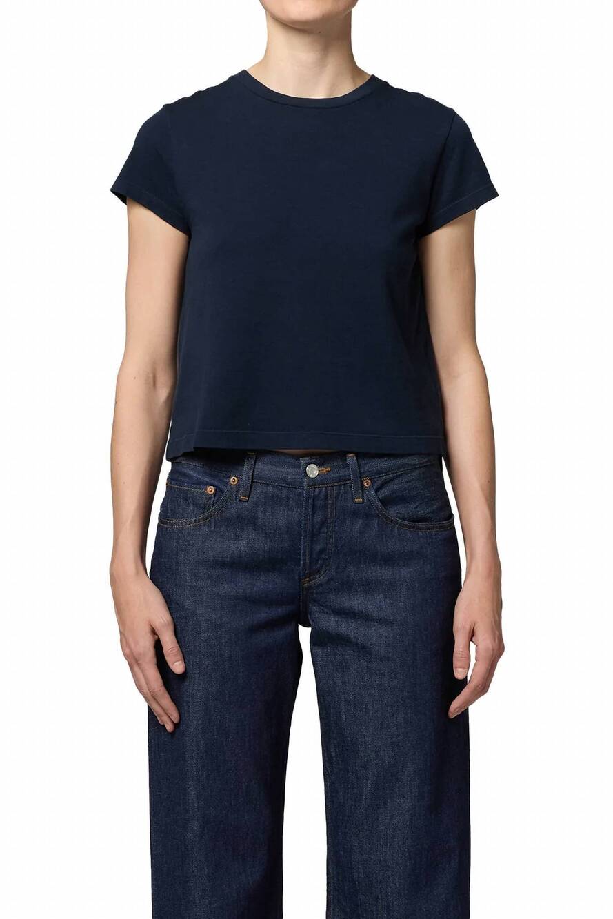 NEW AGOLDE adine shrunken short sleeve tee in storm